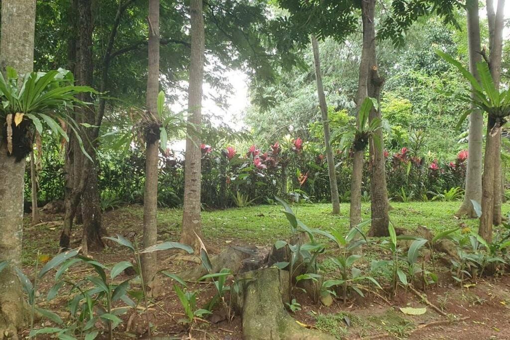 Arunni Garden Villa Bogor